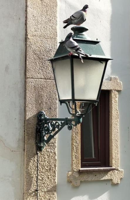 Apartamento Loft In The Historic Center Of Oporto Downtown Exterior foto